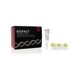 BioFACT dNTP and dNTP Set